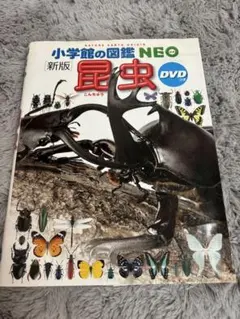 小学校の図鑑NEO 昆虫 DVD付き
