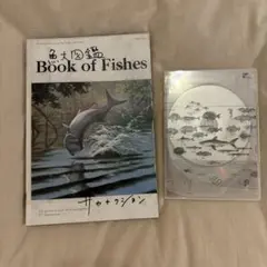 2026年最新】魚図鑑 サカナクションの人気アイテム - メルカリ
