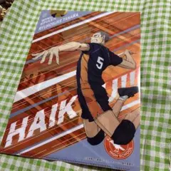 ハイキュー!! クリアファイル 田中龍之介 西谷夕