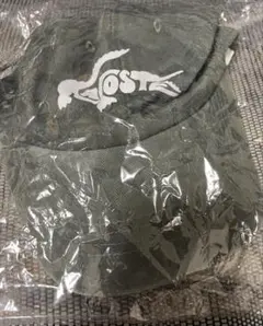 【新品・未開封】LACOSTEの文字が入った帽子・キャップ（ダークグリーン）人気