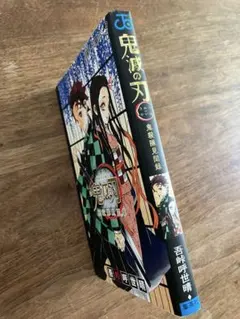 鬼滅の刃 鬼殺隊見聞録 (おまけ有)