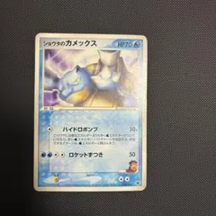 2026年最新】ショウタのカメックスの人気アイテム - メルカリ