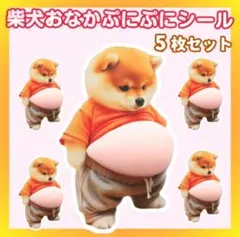 おなかぷにぷにシール　柴犬5枚 ステッカー　ぷくぷく　かわいい　人気　癒やしいぬ