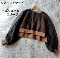 Item thumbnail for item c8c02bec-08b4-4792-b99b-67d0b772bd1f