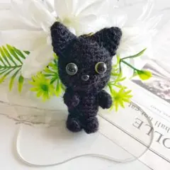 A73 何かを見つけた黒猫 ブラック あみぐるみ キーホルダー チャーム