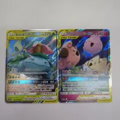 ポケモンカード TAG TEAM RR 2枚セット