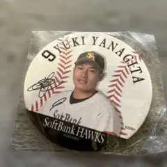 2026年最新】南海ホークス ソフトバンクホークスの人気アイテム - メルカリ