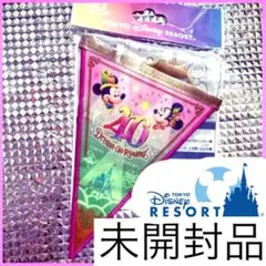 【新品未開封】東京ディズニーリゾート 40周年ガーランド/ピンク緑/