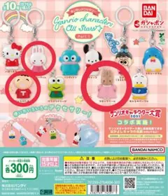 めじるしアクセサリー サンリオキャラクターズオールスターズ Part.1