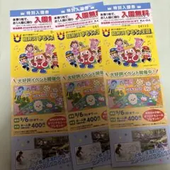 軽井沢おもちゃ王国 特別入園券 3枚セット