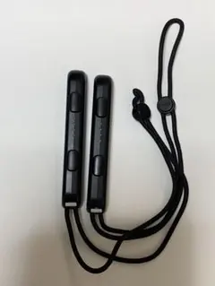 Nintendo Switch Joy-Conストラップ ブラック 2個セット