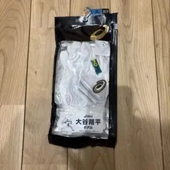 Item thumbnail for item c3f44f56-7601-484a-9e51-831d7a78dac8