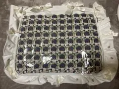 ブルーロック 潔世一 玉座 缶バッジ 64個 A3痛バ付き