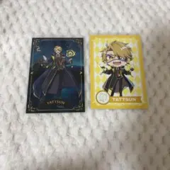 カラピチ　魔法学園　トレカ　たっつん