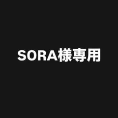 SORA様 リクエスト 2点 まとめ商品