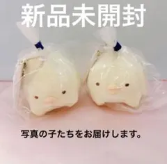 進化A 二個セット もしもすみっコが進化したら？ マスコット ぺんぎん？