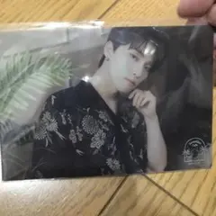 SEVENTEEN DINO クリアフォトカードセット