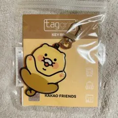 【匿名配送】韓国 T-moneyカード　チュンシク　ジャンプ　カカオフレンズ