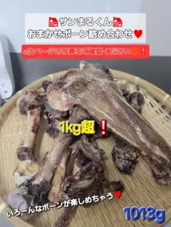 Item thumbnail for item c0298c92-5ca9-446c-808f-7c66d8deb7d6