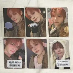 &TEAM NICHOLAS 雪明かりトレカ6枚【ふわふわアニマルトレカ有】