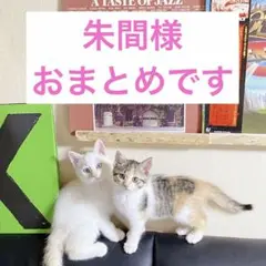 朱間＊プロフ必読♡イベント割有ります♡様 リクエスト 3点 まとめ商品