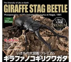 いきもの大図鑑プレミアム マンディブラリスフタマタクワガタ レッド