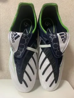 廃盤　レア　アシックス　インジェクタージャパン　27センチ アシックス インジェクター2002 ベロに日本国旗が入っているバージョン
