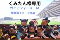 くみたん様専用　ガイアフォース　M　勝負服　馬着　アイドルホース　5個