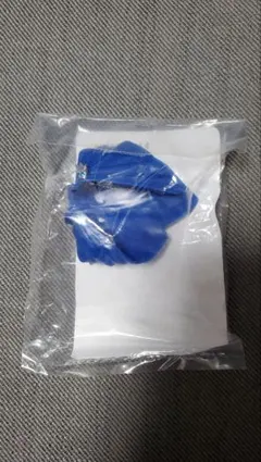 Item thumbnail for item bd74e770-4f7d-4ed7-82f3-32676090f915