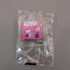 スヌーピー ピーナッツ アクリルキーホルダー くら寿司 非売品のサムネイル