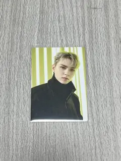 SEVENTEEN TOUR FOLLOW TO JAPAN バーノン