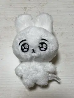 2025年最新】ジョングク ぬいぐるみ マスターの人気アイテム