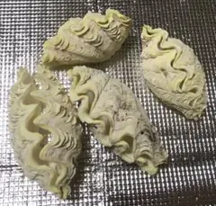 必ず①とセットで購入！価格はそれぞれ1枚分！」② オオシャコガイ 大