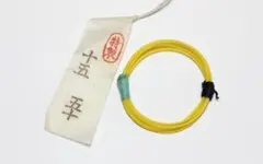 Item thumbnail for item faaa2573-29a7-4c51-a067-aad44cc25c17