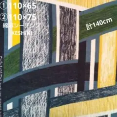 KESHIKI ハイウェイ 綿麻シーチング 生地 はぎれ 幾何学模様 絵画風