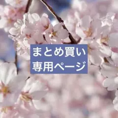 K730様 リクエスト 2点 まとめ商品