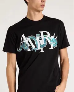 2026年最新】AMIR tシャツの人気アイテム - メルカリ