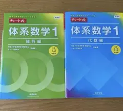 チャート式　体系数学1 幾何編　代数編 2冊セット　中学1.2年生用