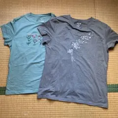 SHEIN XLサイズ Tシャツ 2枚セット