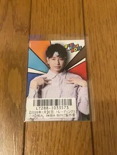 リアルアキバボーイズ ネス トレカのサムネイル