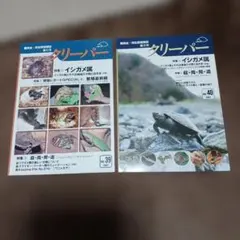 クリーパー 39号 40号 イシガメ特集セット