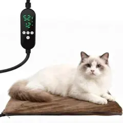 Item thumbnail for item 5076dcb1-935e-4b46-a494-01a5c2741e67