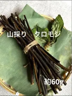 2026年最新】クロモジ 山採りの人気アイテム - メルカリ