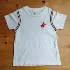 ビバリーヒルズポロクラブ ホワイト Tシャツ