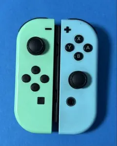 カ*リ様 Nintendo Switch本体 カラーカスタマイズ /Joy-Co - メルカリ
