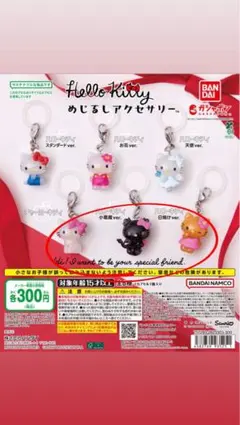 Hello Kitty めじるしアクセサリー