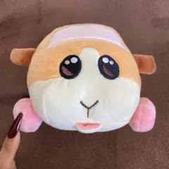 モルカー お目々うるっとぬいぐるみのサムネイル