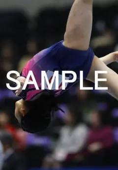 Item thumbnail for item 0e361446-c65a-423e-b95e-8a9e9d9a74dc