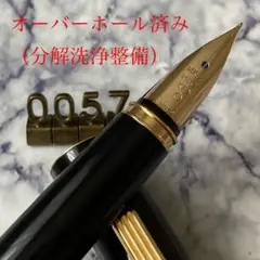 2026年最新】万年筆 パイロット grandeeの人気アイテム - メルカリ