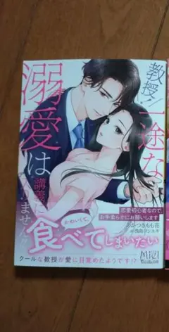 tl小説 あかつきもも花　ヴァニラ文庫ミエル